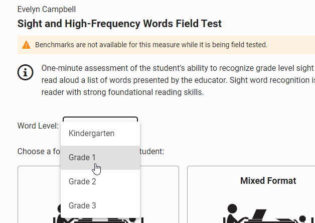 select the Word Level for Sight and High-Frequency Words assessments