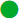 A green circle.