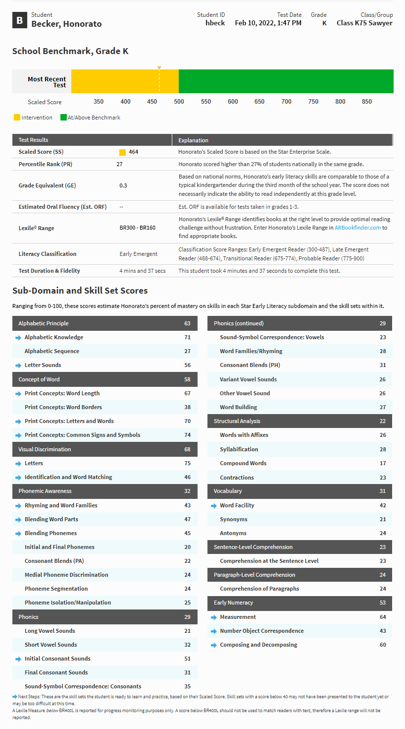 The alternative layout for the report is shown, with test results and domain scores laid out in tables instead of panels.