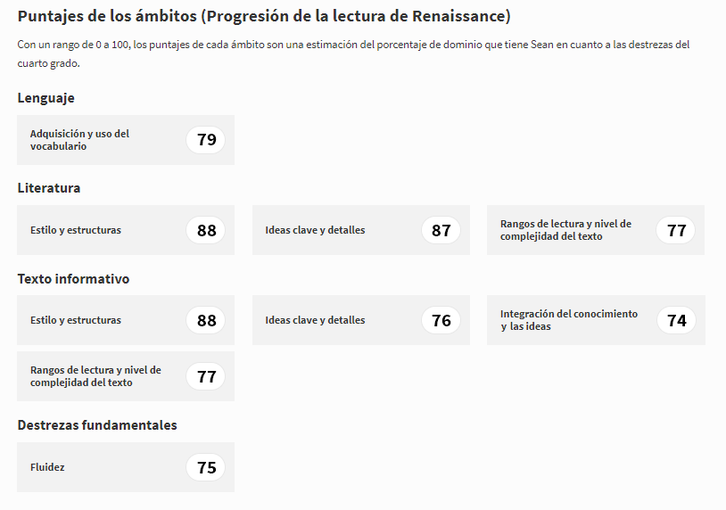 The bottom part of a report, with the domains presented in Spanish instead of English.