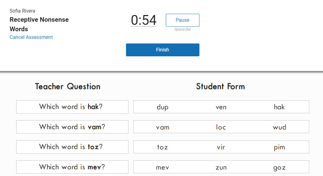 Receptive Nonsense Words teacher example