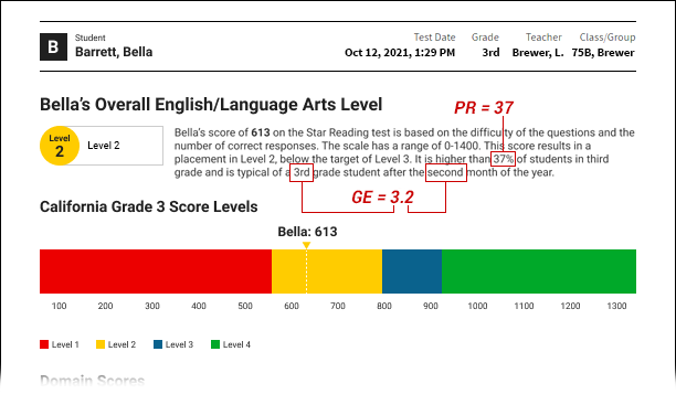 The top of an example report.