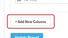 The Add New Column button.