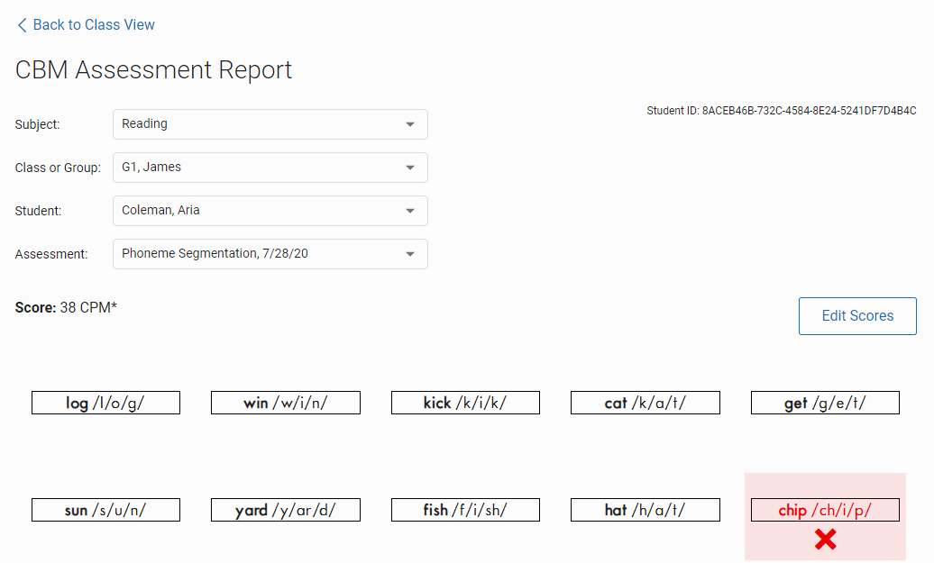 example of the CBM Assessment Report