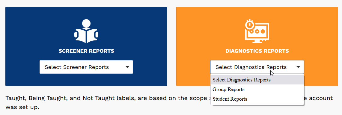 the Diagnostics Report Options