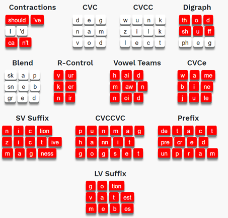 example of the Student Tile Report without the filter, showing all words and categories