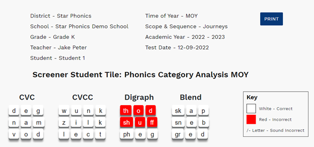 example of the Student Tile Report with the filter, showing only 4 categories and 12 words