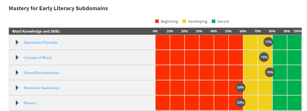 example of mastery shown for early literacy subdomains
