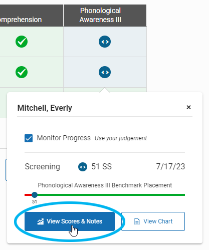 example of a score selected and the View Scores and Notes button