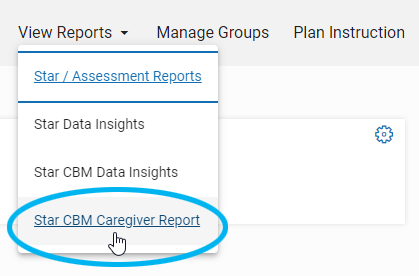 select View Reports, then Star CBM Caregiver Report