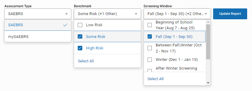 The Assessment Type, Risk Type, and Screening Window drop-down lists. The Update Report button is on the right.