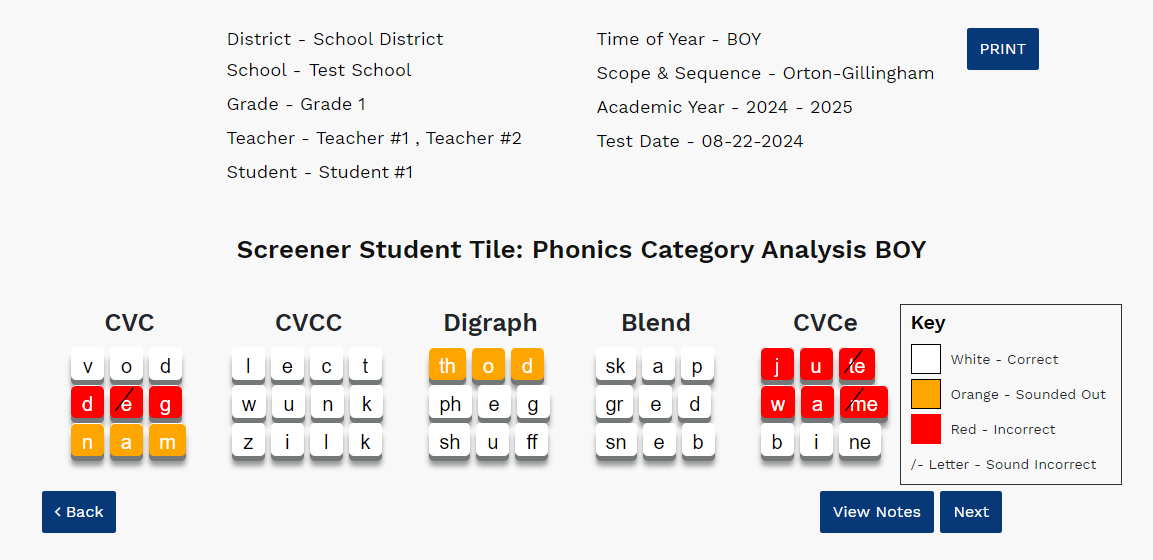 an example of the Screener Student Tile report