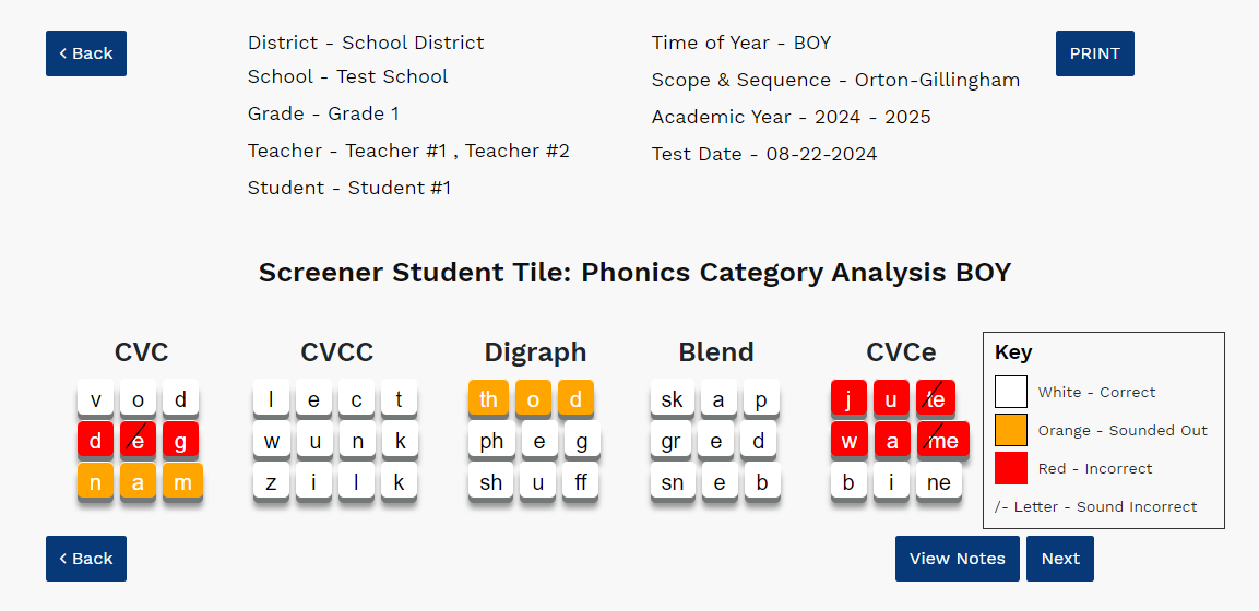 an example of the Screener Student Tile Report