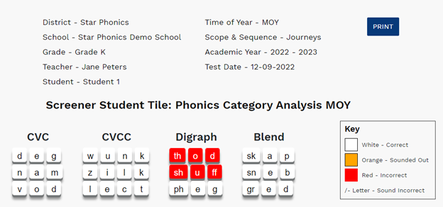 an example of the Student Tile Report with the filter applied, showing only 4 categories and 12 words