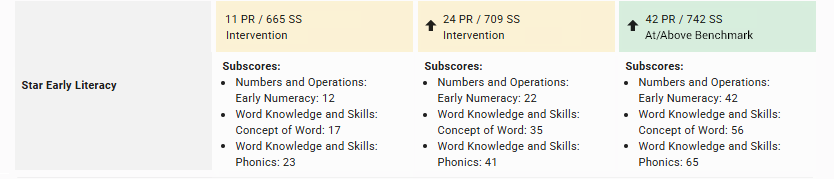 The results of the student's Star Early Literacy assessments taken throughout the school year.