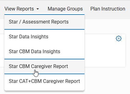 the Star CBM Caregiver Report in the View Reports menu