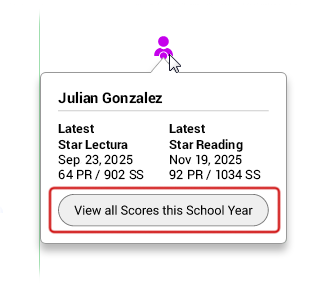 The View all Scores this School Year button for a student.